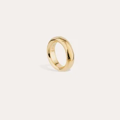 Bague Alliance